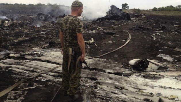 malaysia airlines fllight 17 wreckage