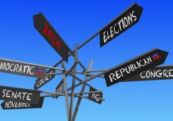 2014 midterm elections