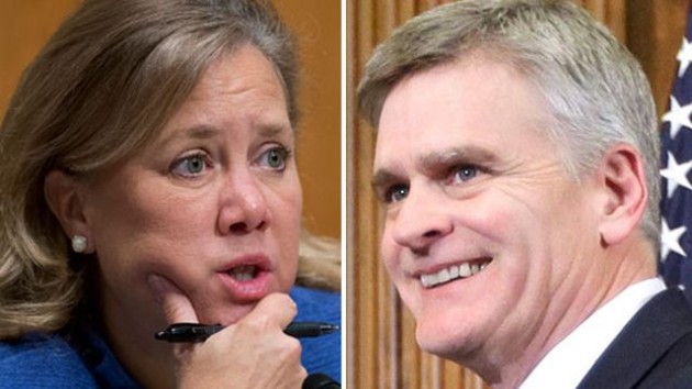 Mary_Landrieu_Bill_Cassidy_Louisiana_Senate_runoff