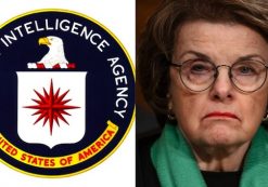 feinstein_cia