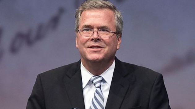 jeb-bush-ap