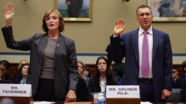 jonathan_gruber_marilyn_tavenner_house_hearing_obamacare