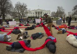 abortion-bill-protest-white-house