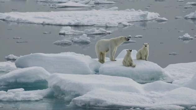 global-warming-polar-ice-caps-polar-bears
