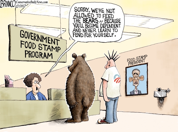 a-f-branco-bear-necessities