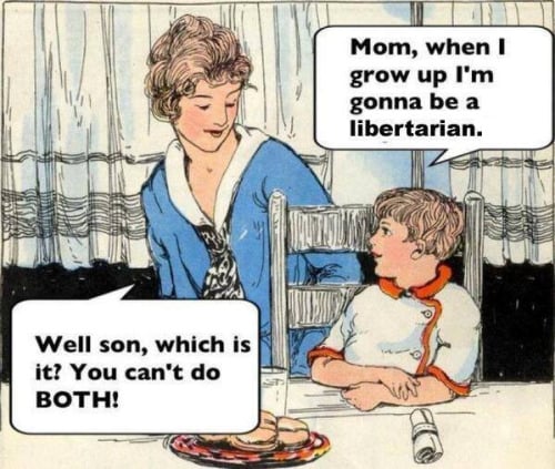 libertarian-cartoon-mom-son