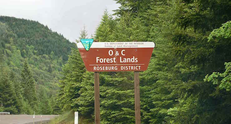 OC-Forest-Lands-Sign-PL-NR