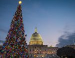 The U.S. Capitol Christmas tree is lit against the early morning sky Wednesday, Dec. 4, 2013 in Washington. (Photo: AP)