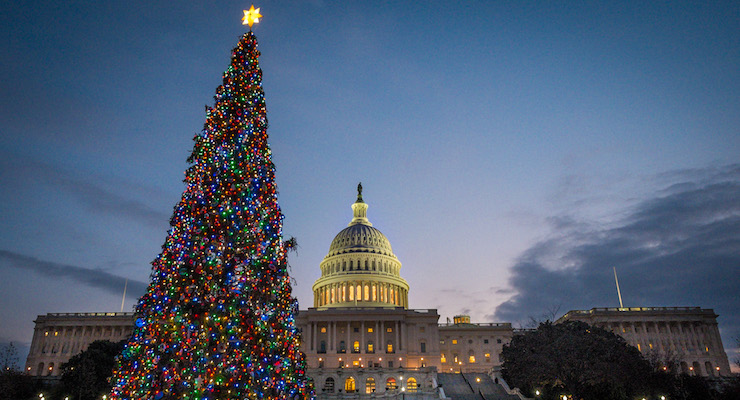 The U.S. Capitol Christmas tree is lit against the early morning sky Wednesday, Dec. 4, 2013 in Washington. (Photo: AP)
