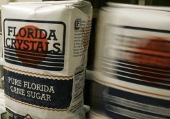 Bags of Florida Crystals cane sugar roll down a conveyer belt after filling at the Florida Crystals Corp. sugar mill, refinery and power plant in Okeelanta, Florida July 9, 2008. (Photo: Reuters)