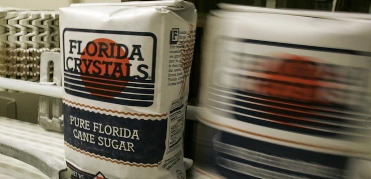 Bags of Florida Crystals cane sugar roll down a conveyer belt after filling at the Florida Crystals Corp. sugar mill, refinery and power plant in Okeelanta, Florida July 9, 2008. (Photo: Reuters)