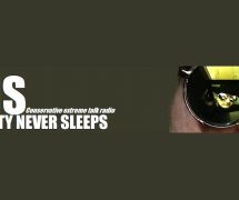 Liberty Never Sleeps Featured Image Banner