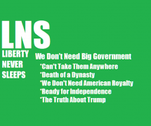 LNS We Don't Need Big Government Cover