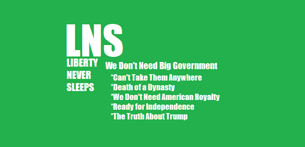 LNS We Don't Need Big Government Cover