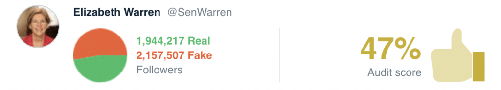 Elizabeth Warren Twitter Audit Results