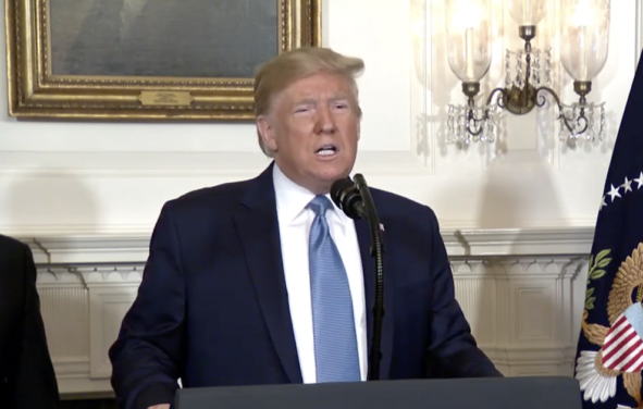 President Donald Trump speaks about the mass shootings in El Paso and Dayton, Ohio on August 5, 2019. (Photo: Screenshot)