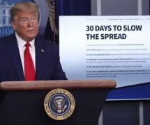 President Donald Trump holds his daily press briefing for the Coronavirus Task Force on March 31, 2020. (Photo: Screenshot)